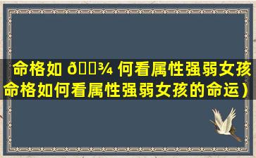 命格如 🌾 何看属性强弱女孩（命格如何看属性强弱女孩的命运）